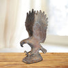 SPI Home Home Mountaintop Eagle