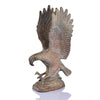 SPI Home Home Mountaintop Eagle