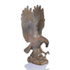 SPI Home Home Mountaintop Eagle