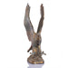 SPI Home Home Mountaintop Eagle