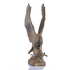 SPI Home Home Mountaintop Eagle