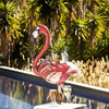 Think Outside Home Rate to be Quoted Florence the Flamingo Beverage Tub