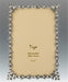 Tizo Designs Picture Frames Tizo Alice 4 x 6 Jeweltone Picture Frame
