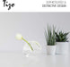 Tizo Designs Home Tizo Design Round Flat Crystal Glass Bud Vase Small