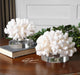 Uttermost Home HARD CORAL SCULPTURE, S/2