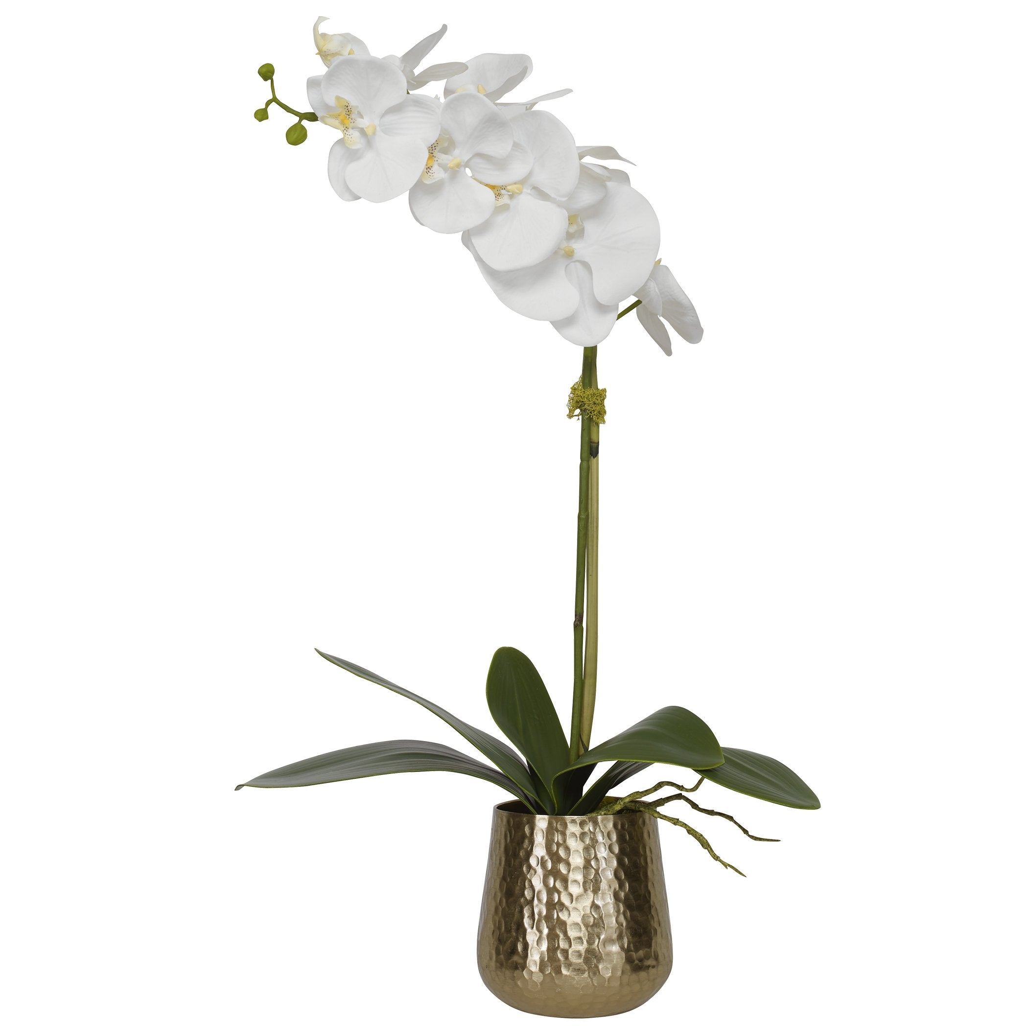 Uttermost Home Uttermost Cami Orchid With Brass Pot