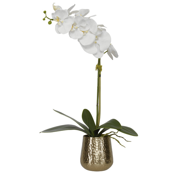 Uttermost Home Uttermost Cami Orchid With Brass Pot