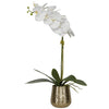 Uttermost Home Uttermost Cami Orchid With Brass Pot