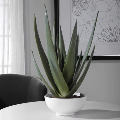 Uttermost Home Uttermost Evarado Aloe Planter