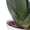 Uttermost Home Uttermost Evarado Aloe Planter