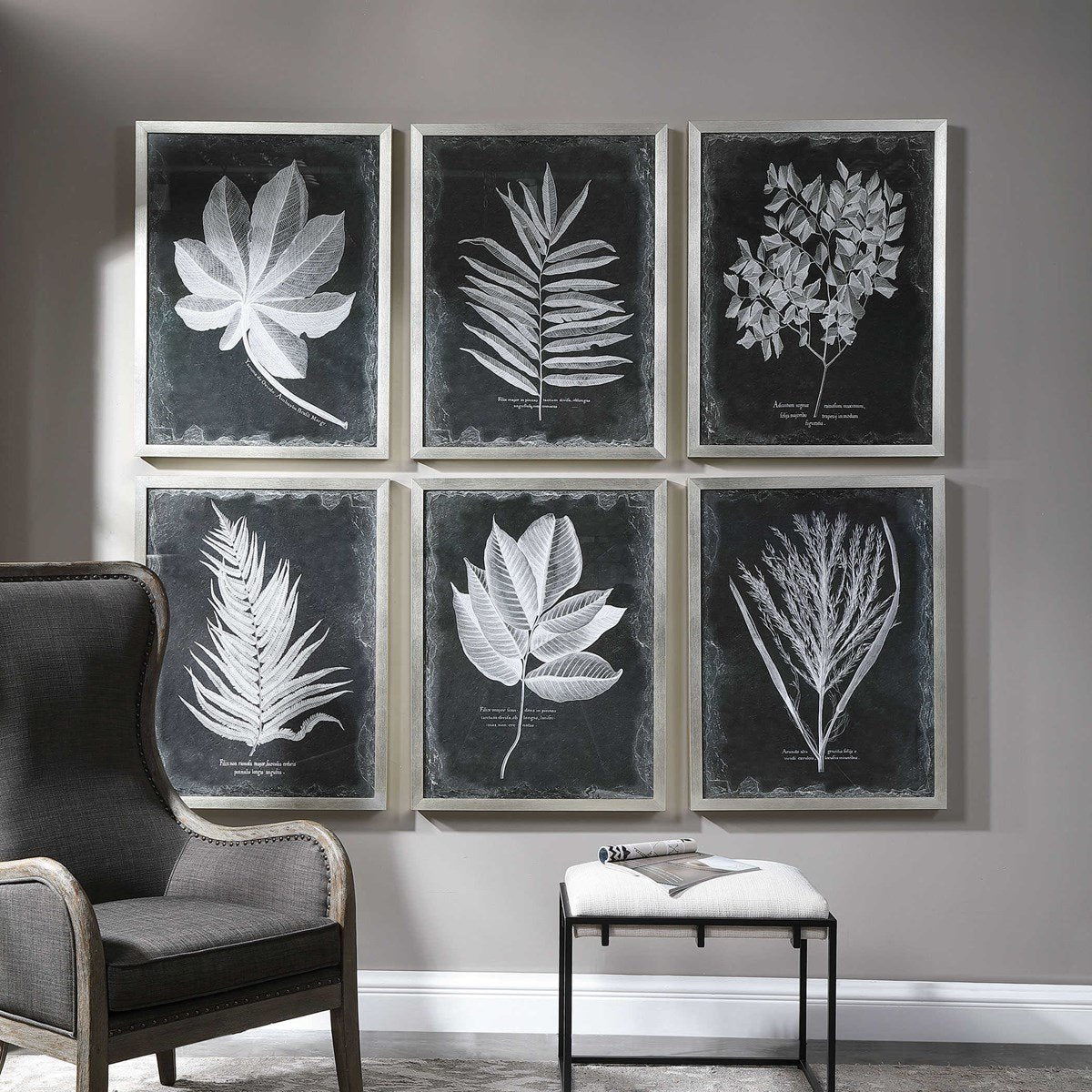 Uttermost Home Oversized Uttermost Foliage Framed Prints, S/6