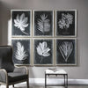 Uttermost Home Oversized Uttermost Foliage Framed Prints, S/6