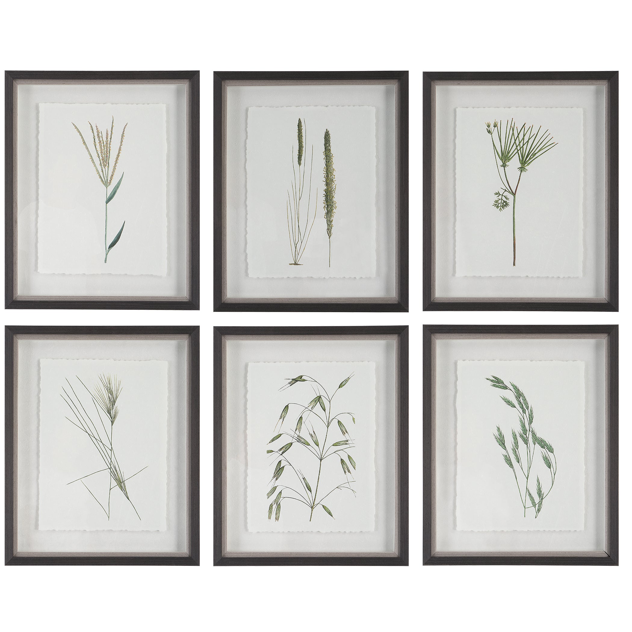 Uttermost Home Decor Uttermost Forest Finds Framed Prints, S/6