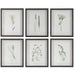 Uttermost Home Decor Uttermost Forest Finds Framed Prints, S/6