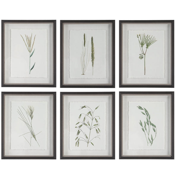 Uttermost Home Decor Uttermost Forest Finds Framed Prints, S/6