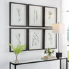 Uttermost Home Decor Uttermost Forest Finds Framed Prints, S/6