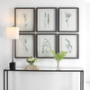 Uttermost Home Decor Uttermost Forest Finds Framed Prints, S/6