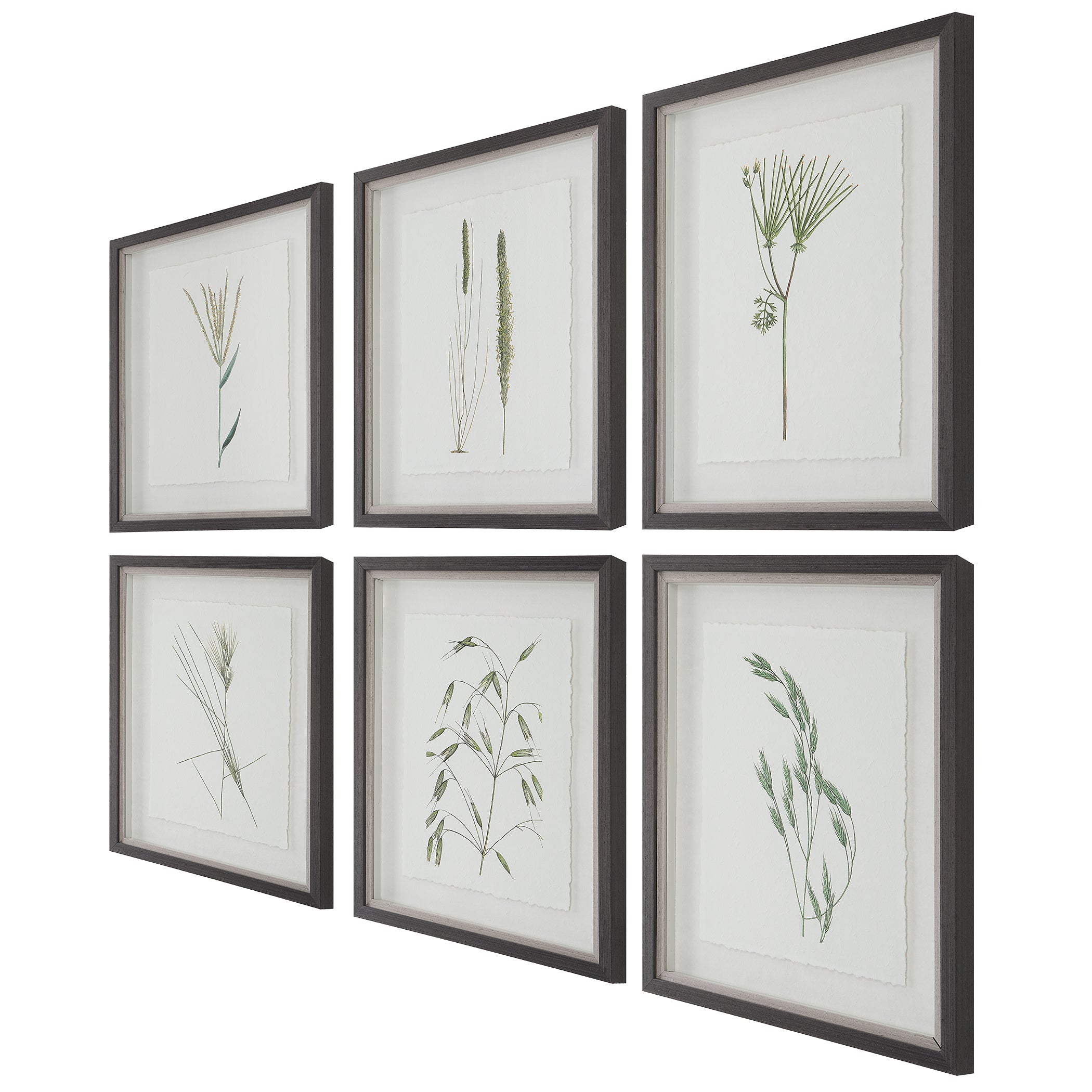 Uttermost Home Decor Uttermost Forest Finds Framed Prints, S/6