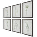 Uttermost Home Decor Uttermost Forest Finds Framed Prints, S/6