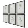 Uttermost Home Decor Uttermost Forest Finds Framed Prints, S/6