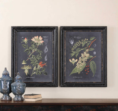 Uttermost Home Uttermost Midnight Botanicals Framed Prints, S/2