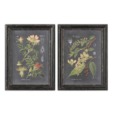 Uttermost Home Uttermost Midnight Botanicals Framed Prints, S/2