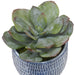 Uttermost Home Uttermost Puebla Greenery In Blue & White Pots, S/3