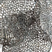 Uttermost Home Oversize - Rate to be Quoted Uttermost Ripley Metal Wall Art