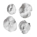 Uttermost Home Uttermost Sea Coral Wall Decor, S/4