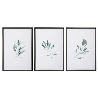 Uttermost Home Uttermost Simple Sage Framed Prints, S/3