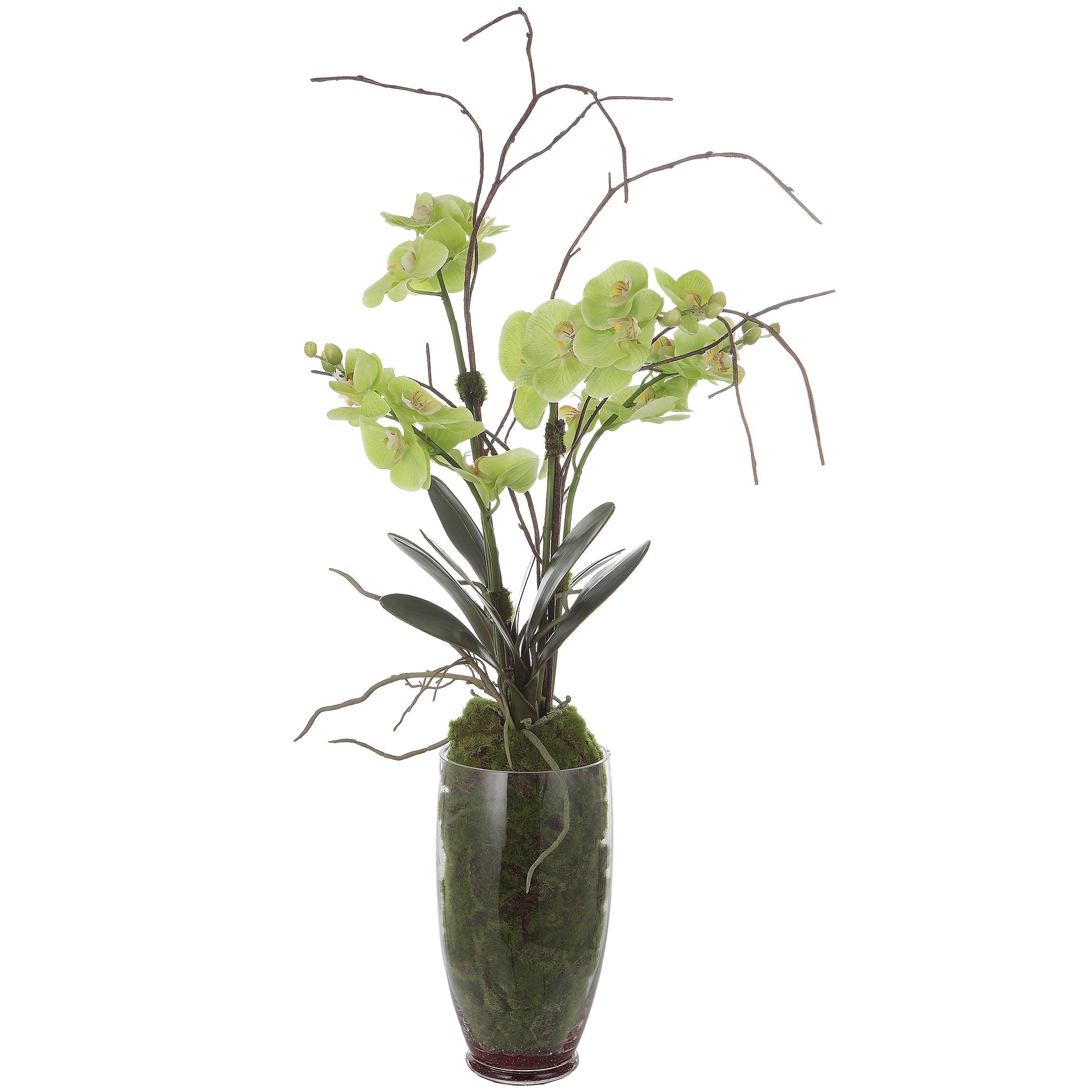 Uttermost Home Decor Uttermost Valdive Orchid