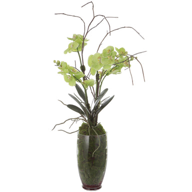 Uttermost Home Decor Uttermost Valdive Orchid