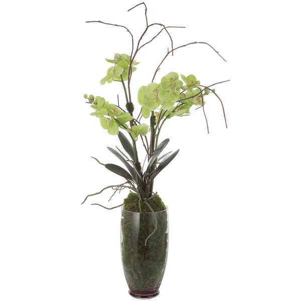 Uttermost Home Decor Uttermost Valdive Orchid