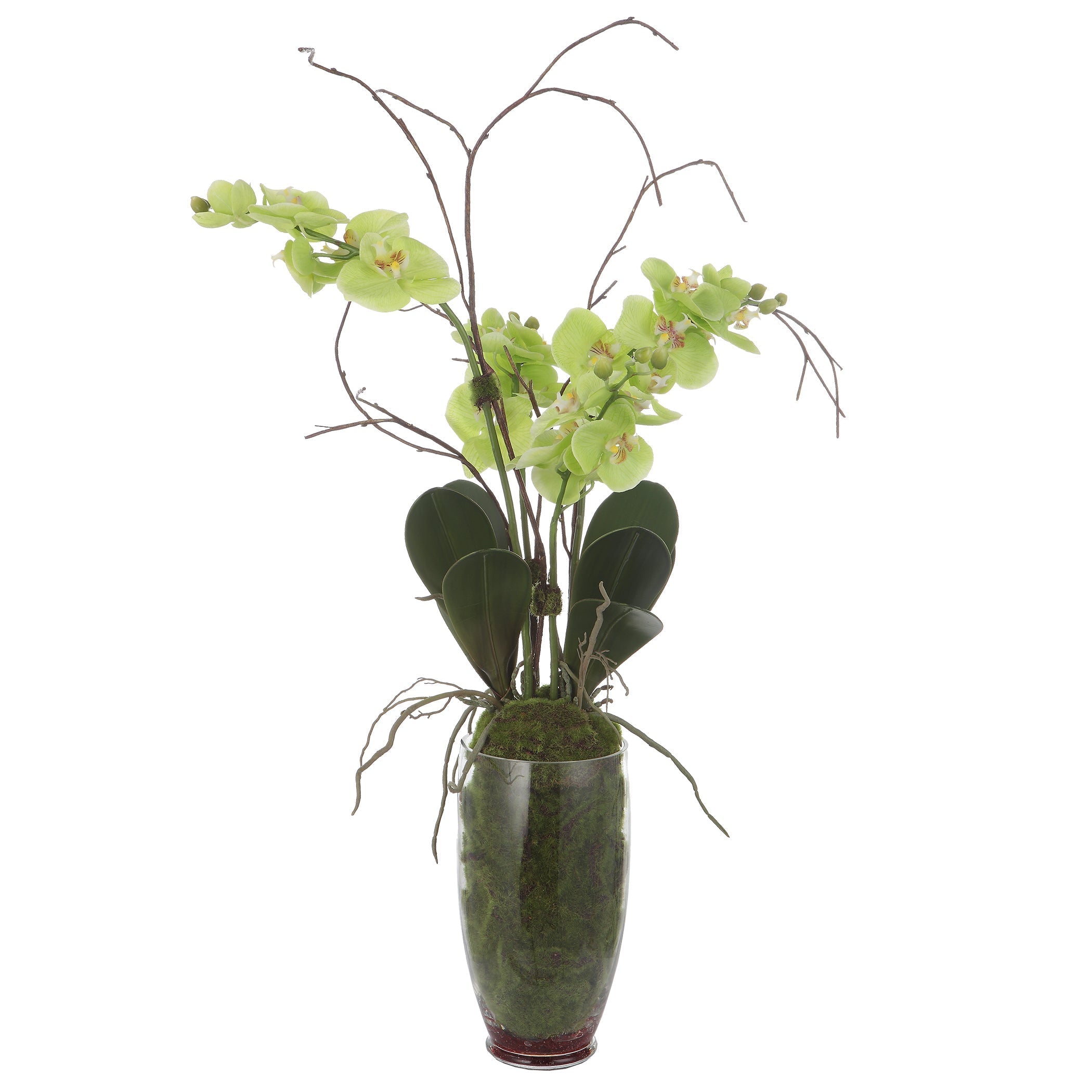 Uttermost Home Decor Uttermost Valdive Orchid