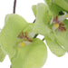 Uttermost Home Decor Uttermost Valdive Orchid
