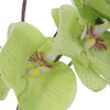 Uttermost Home Decor Uttermost Valdive Orchid