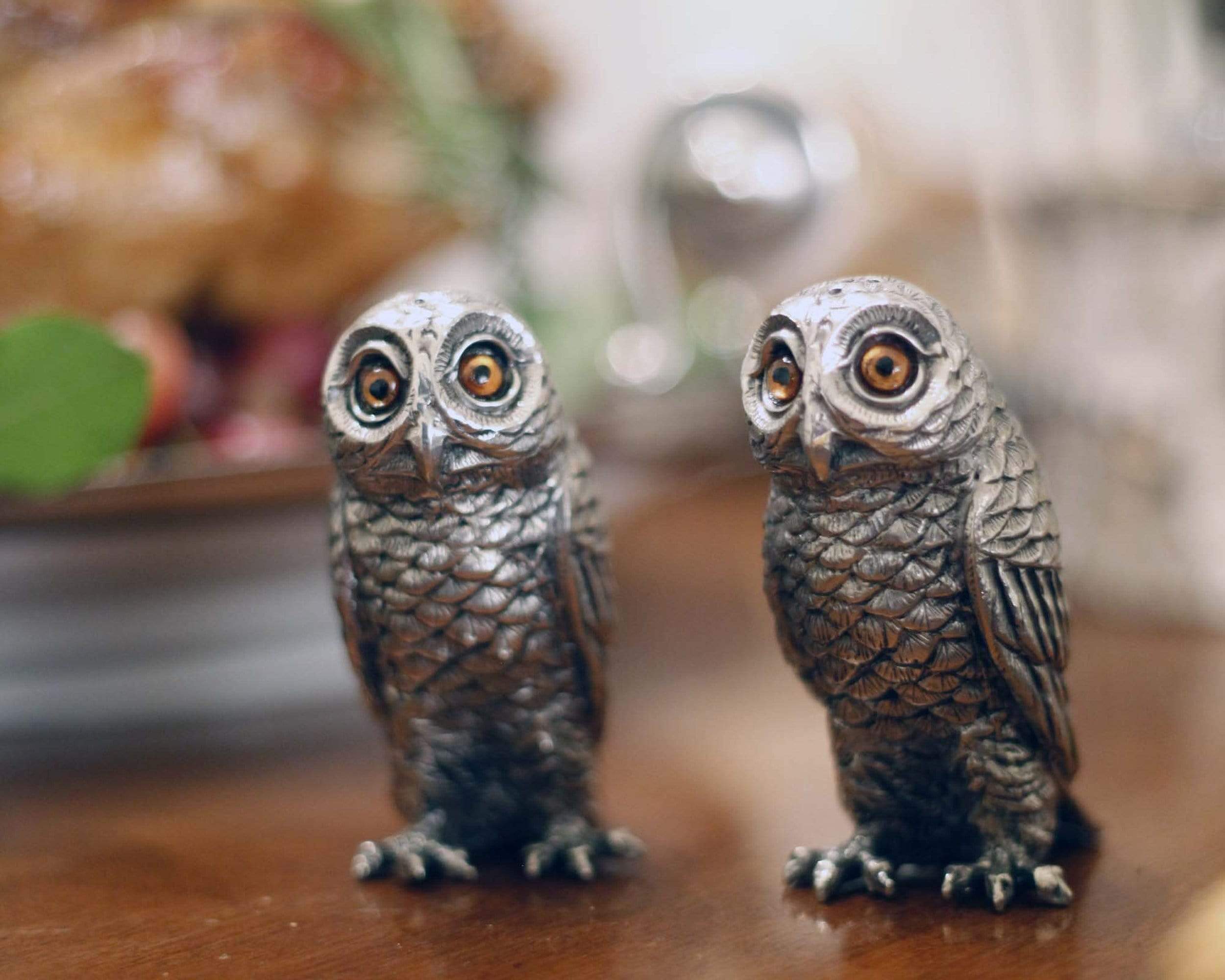 Vagabond House Serveware Vagabond House Salt and Pepper - Owl